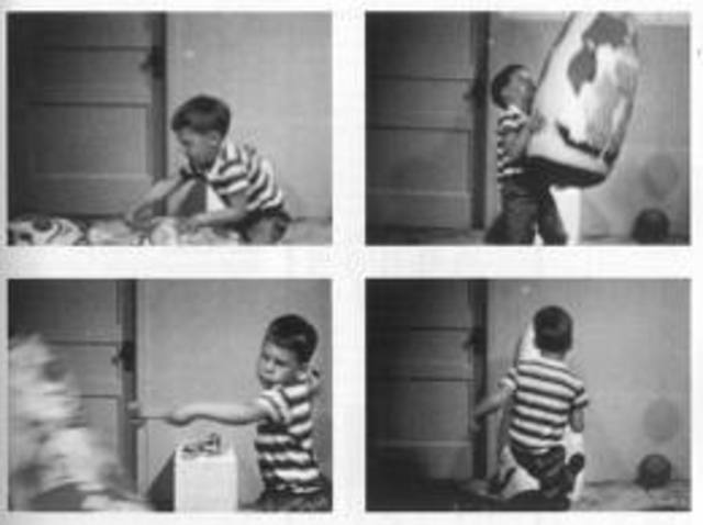 The Bobo Doll Experiment