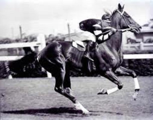 Phar Lap wins melbourne cup.