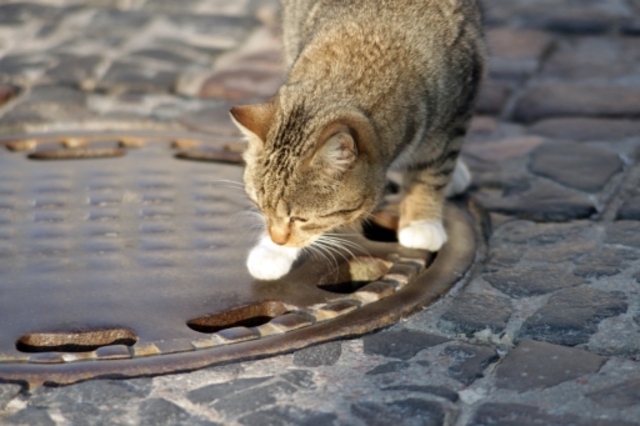 Горад у здымках