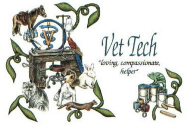 1st job working in my career field as a Vet tech