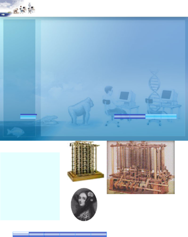 Maquina Procesadora de Informacion