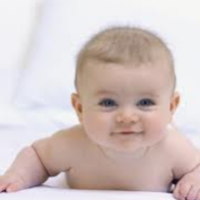 Timeline: Fetal Devolopment