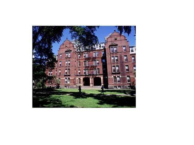 Starts attending Harvard University