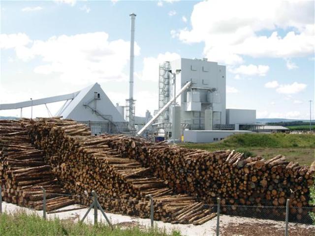 First biomass power plant