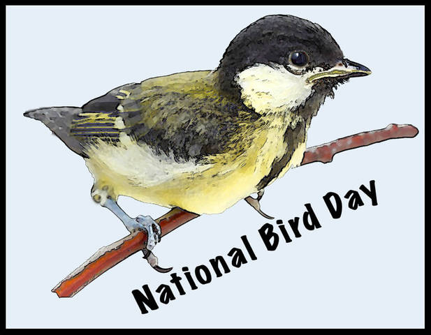 National Bird Day