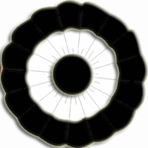 Beginning of the Federalist Party