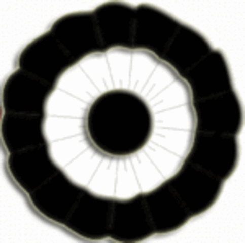 Beginning of Federalist Party