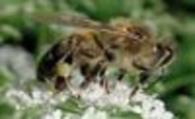 parteaguas en mi primer trabajo