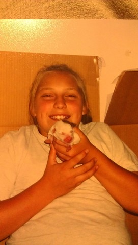 Nacimiento de Mis Perros