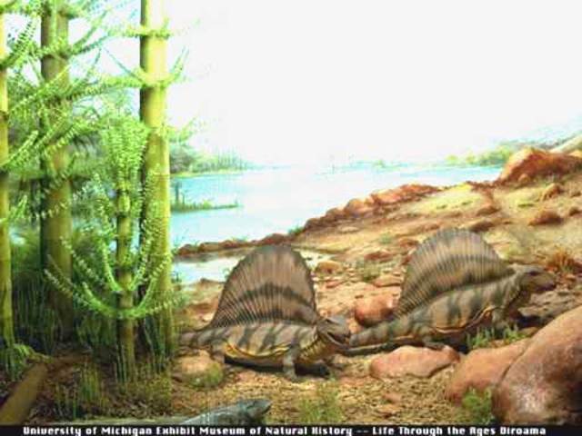 Permian Period. - 280 to 225 MYA.