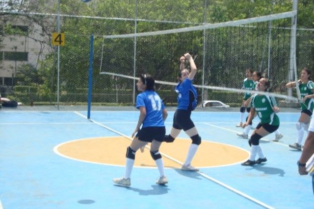 VOLEYBOL