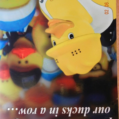 Timeline: Ducky Timeline