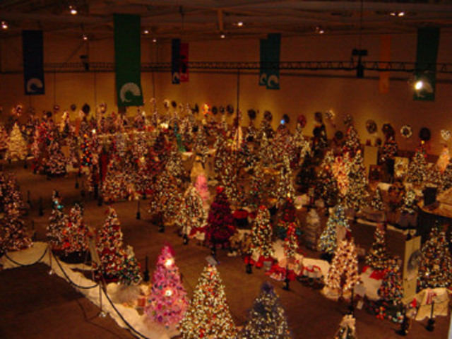 Christmas Tree Festival
