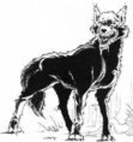 Quintis and Mrs. O'Leary