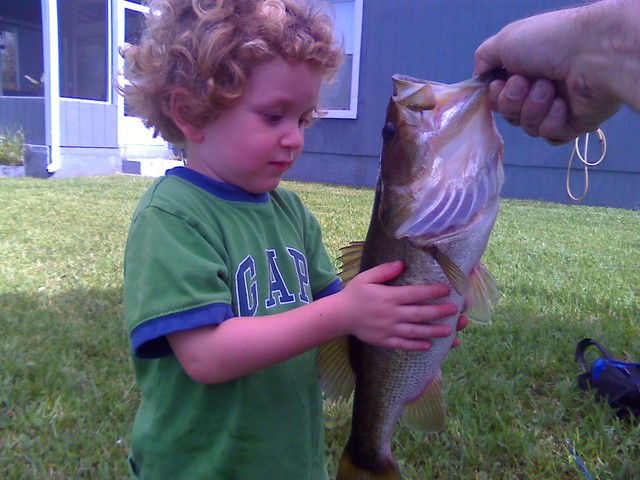 Ben's Big Bass