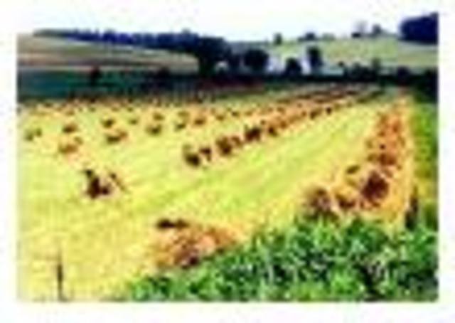 Percy escapes the demon dude ranch