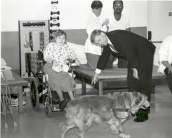 Education for the handicapped.