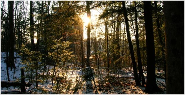 Fighting will not stop