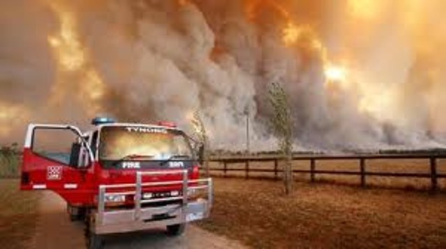 Black saturday fires