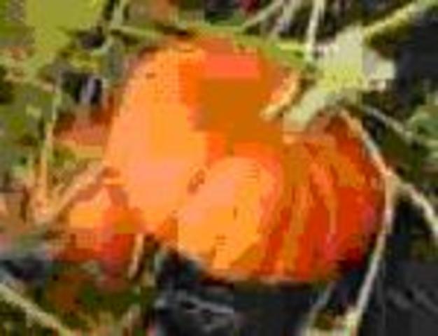 She Didn't give up on me