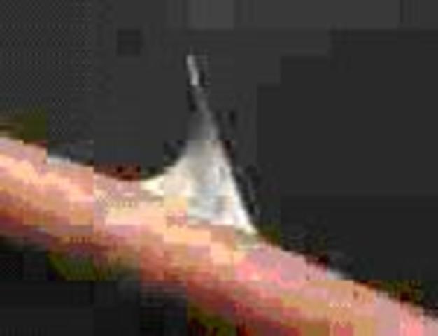 The Secret of Happiness