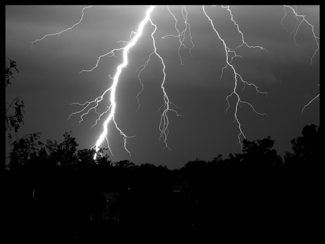 They Pass the Man Struck By Lightning