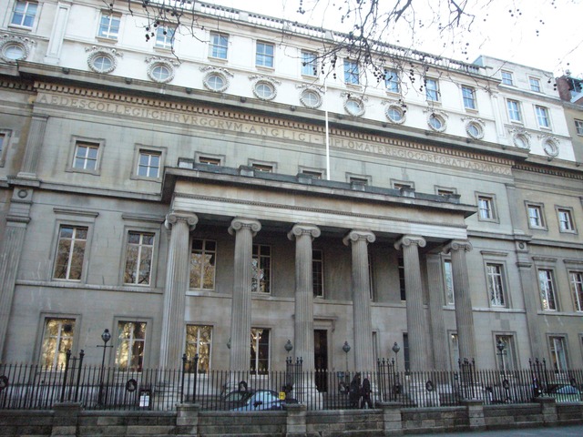 Treballar els ossos fòssils.