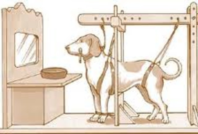 Ivan Pavlovs dog experiment