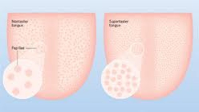 Roland Fischers Supertasters