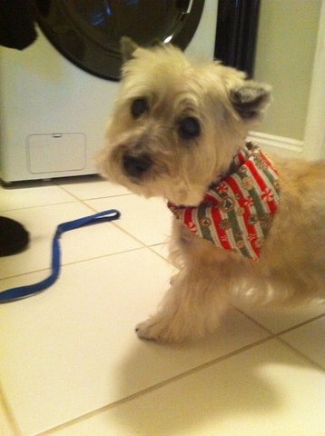 La Muerte de una Amiga