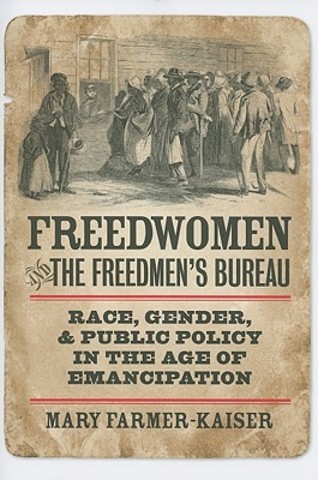 Freedmans Bureau Abolished
