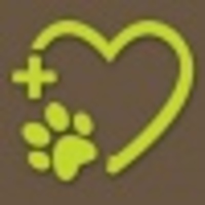 Timeline: Career Path