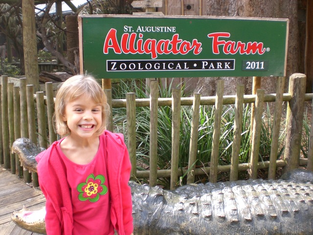 Alligator Farm
