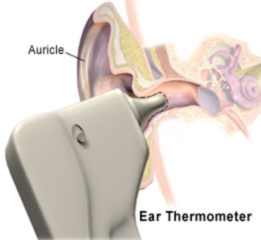 Ear Thermometer