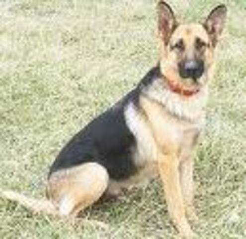 Willie Gives Away Cracker