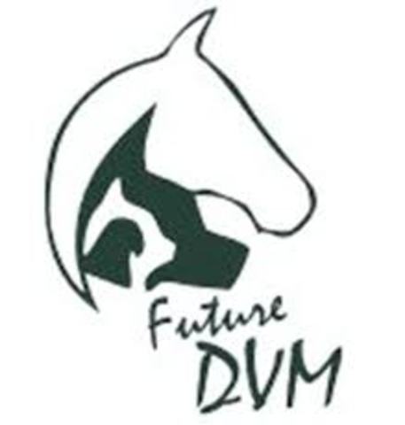 Work in the Teaching hospital