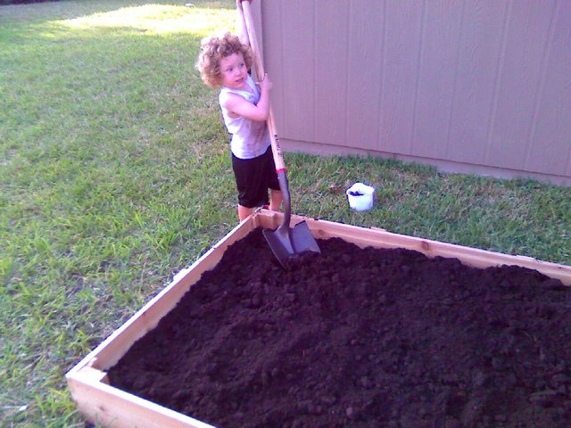 Ben makes a garden