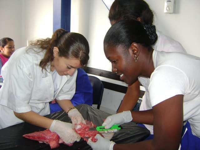 AUXILIAR EN REHABILITACIÓN FISICA