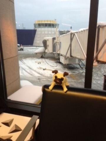 Maria leaves for Japan