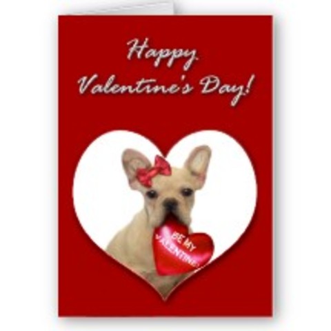 Happy Valentines Day