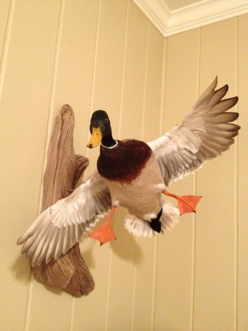 Killing My First Duck