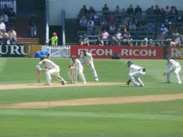 Cricket