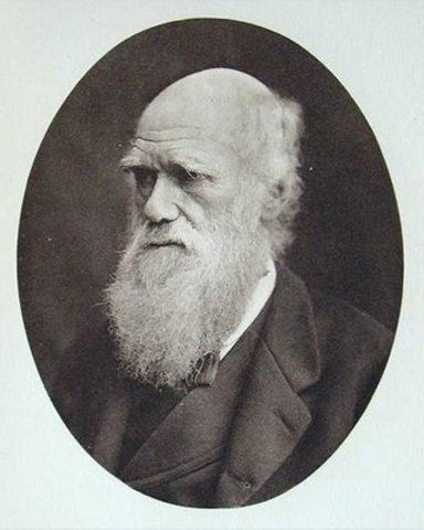 Carlos Darwin (1809-1882)