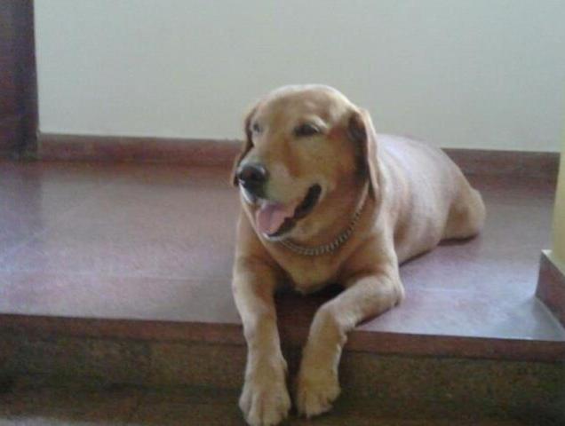 Got my first pet!!!!