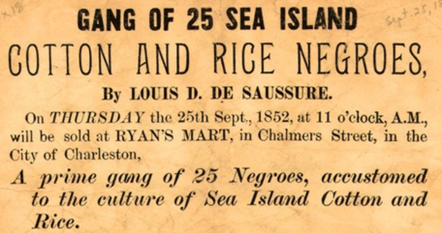Emergence of Advertising in America: 1850-1920