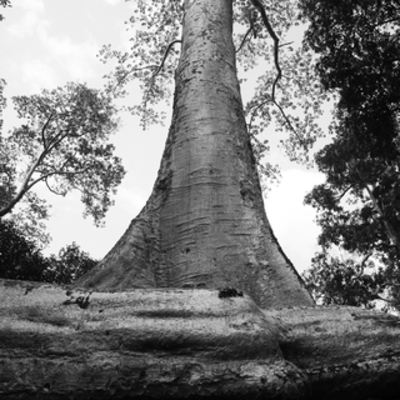 Timeline: My Autobiography