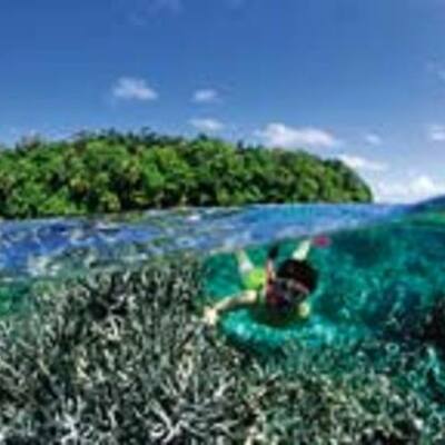 Timeline: universidad