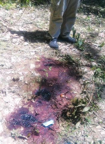 Truths Of A Cruel World