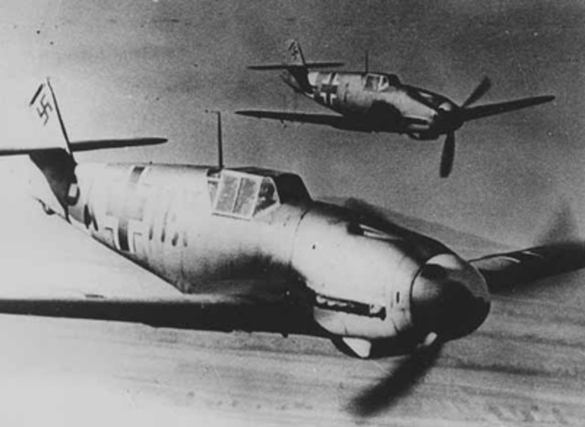 chucks first dog fight