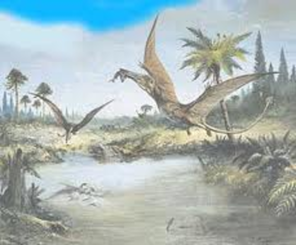 Jurrasic 199.6 - 145.5 MYA